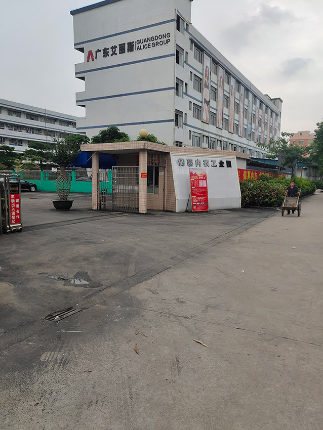 广东艾丽斯